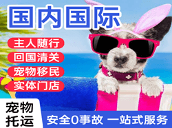 盐城南洋航空快递国际宠物托运 【国